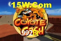 Bonus Features 992Br